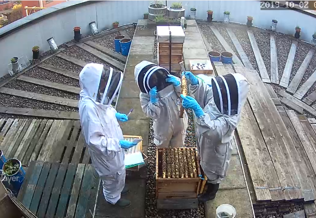 Three people wearing beekeeping outfits inspect the hives on the roof of HOME, in Manchester